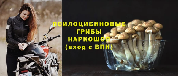 MDMA Белокуриха