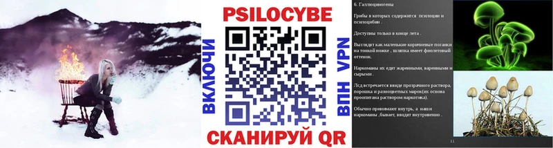 Галлюциногенные грибы Psilocybe  Купить  Кудымкар 
